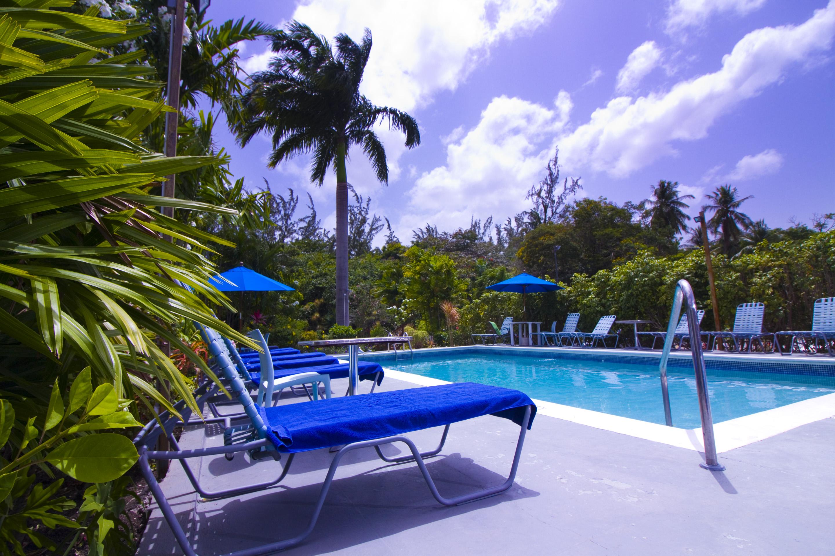 ᐉ PALM GARDEN HOTEL ⋆⋆⋆ ( BRIDGETOWN, BARBADOS ) REAL PHOTOS & GREAT DEALS